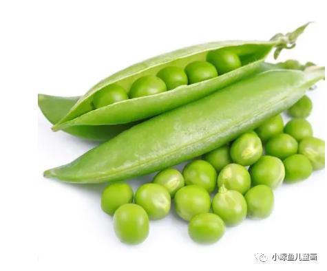 绿色的豌豆荚,最好的豌豆荚