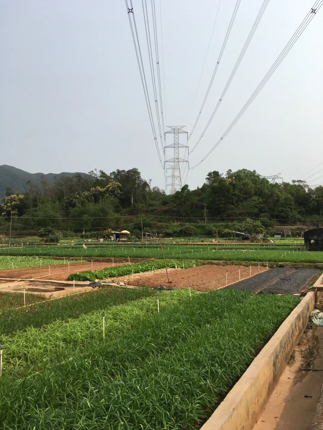 旭光车行雅迪电动车,旭光单车