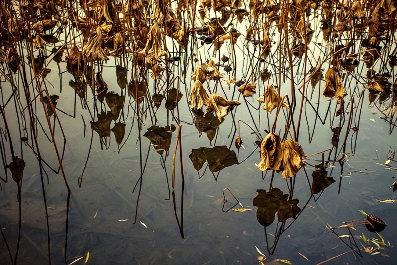 中国的五行太厉害了,中国为什么叫中国五行