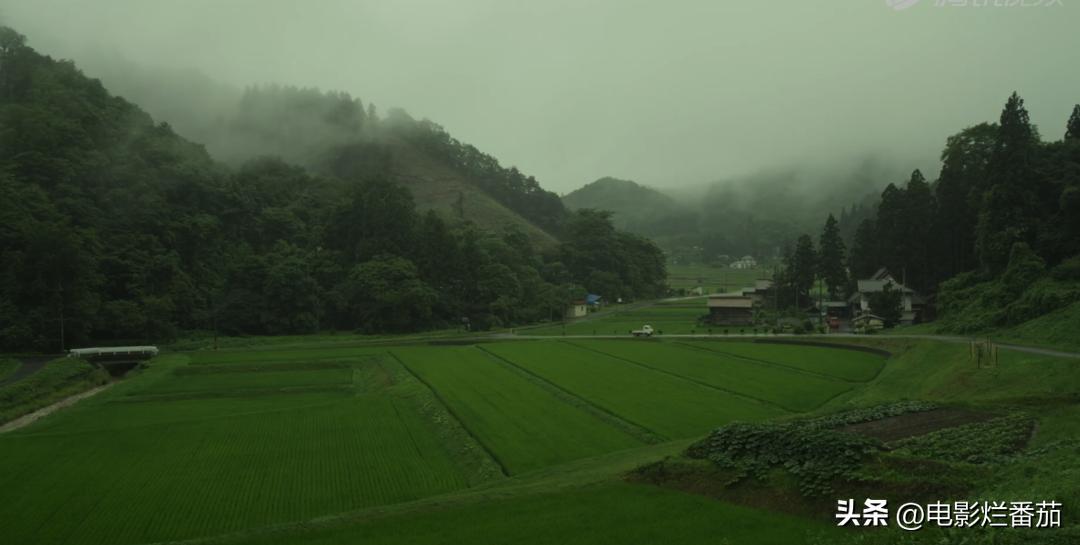 豆瓣9.0，日本乡间简素的一餐一饭，治好了无数人的“精神内耗”