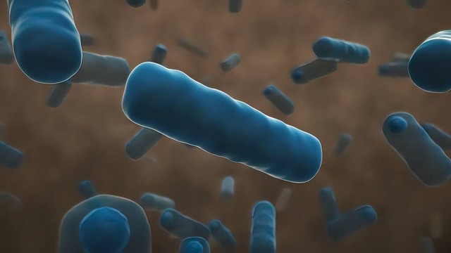 如何区分炎症感染,炎症和感染之间的关系