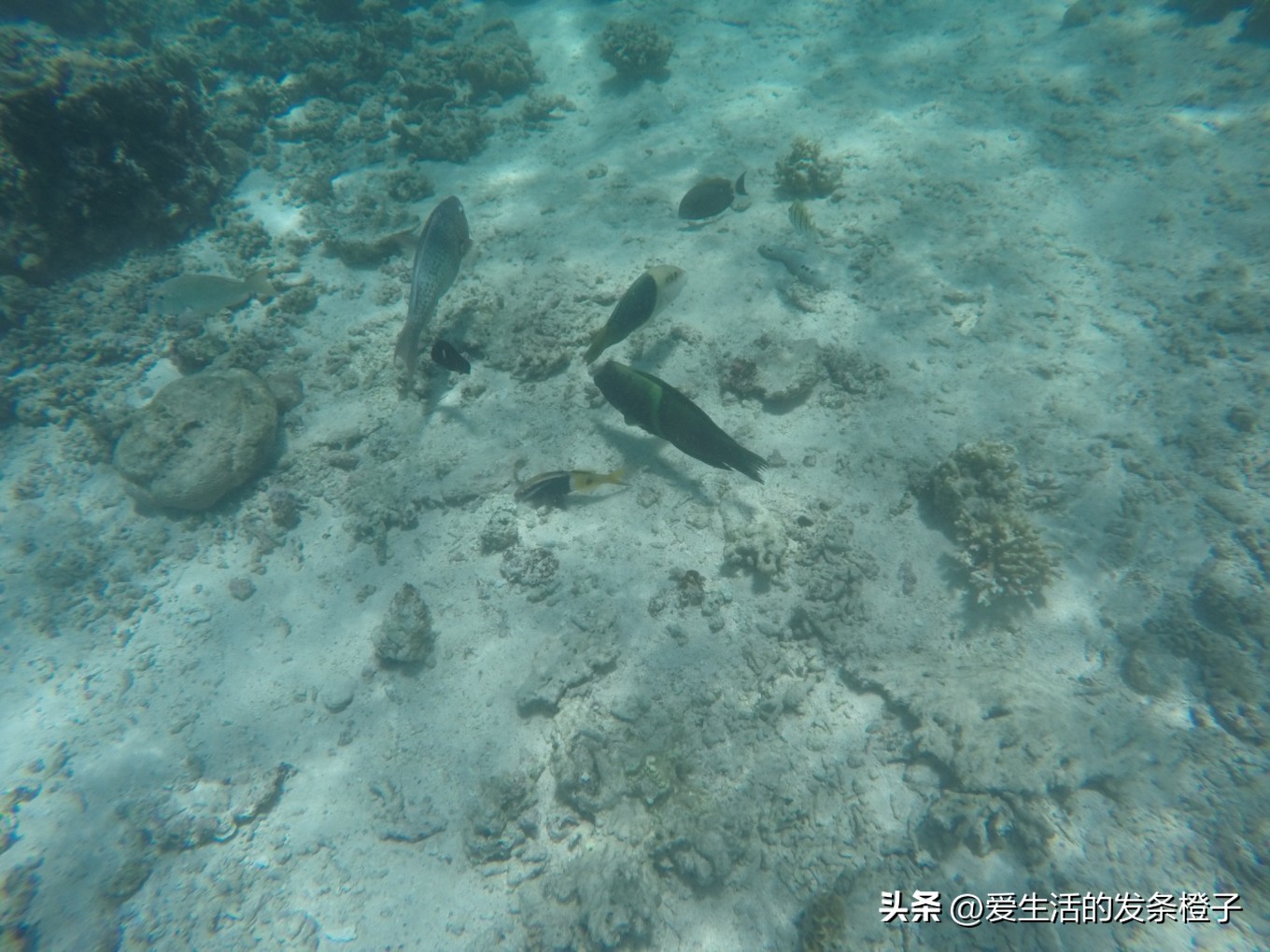 一路向北全程1980公里,西澳自驾游最佳路线图