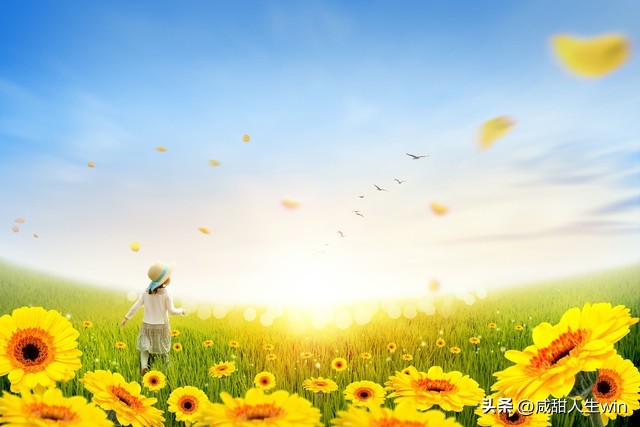 趁着年轻我偏要勉强詹青云,趁着年轻我偏要勉强完整版