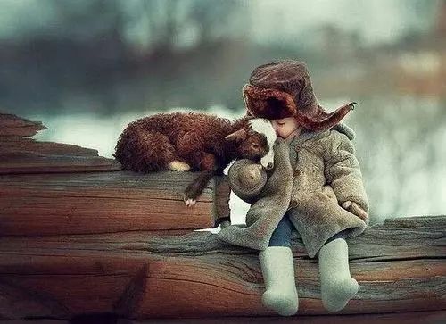 智慧宝典：看一个人是不是善良人，推荐你看这一点