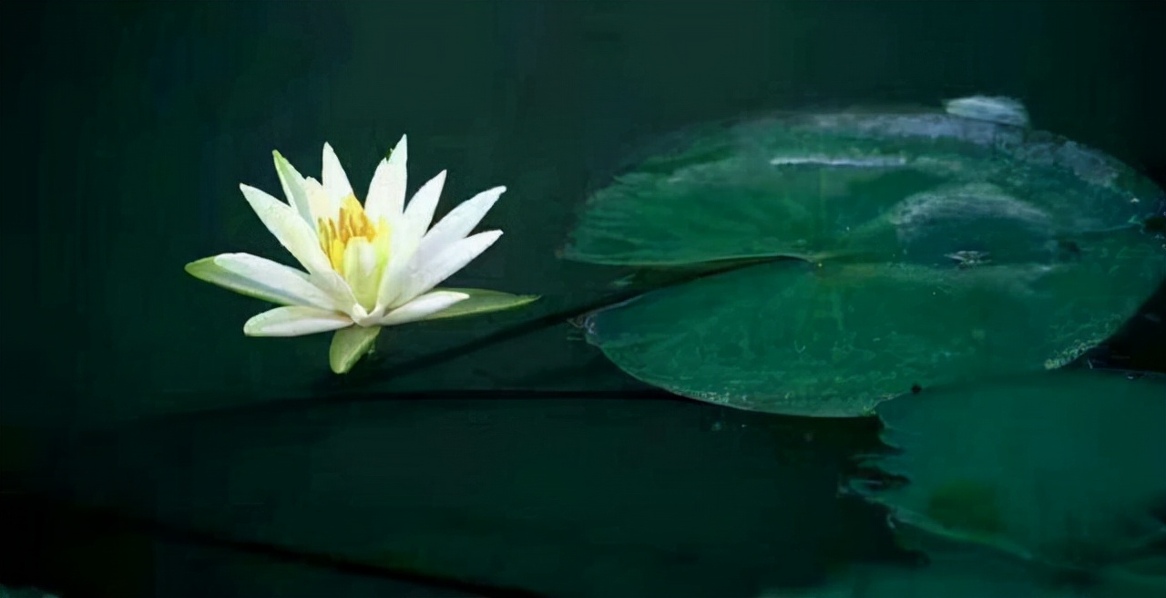 你的大脑是不是不正常,你的大脑为什么会出现混乱