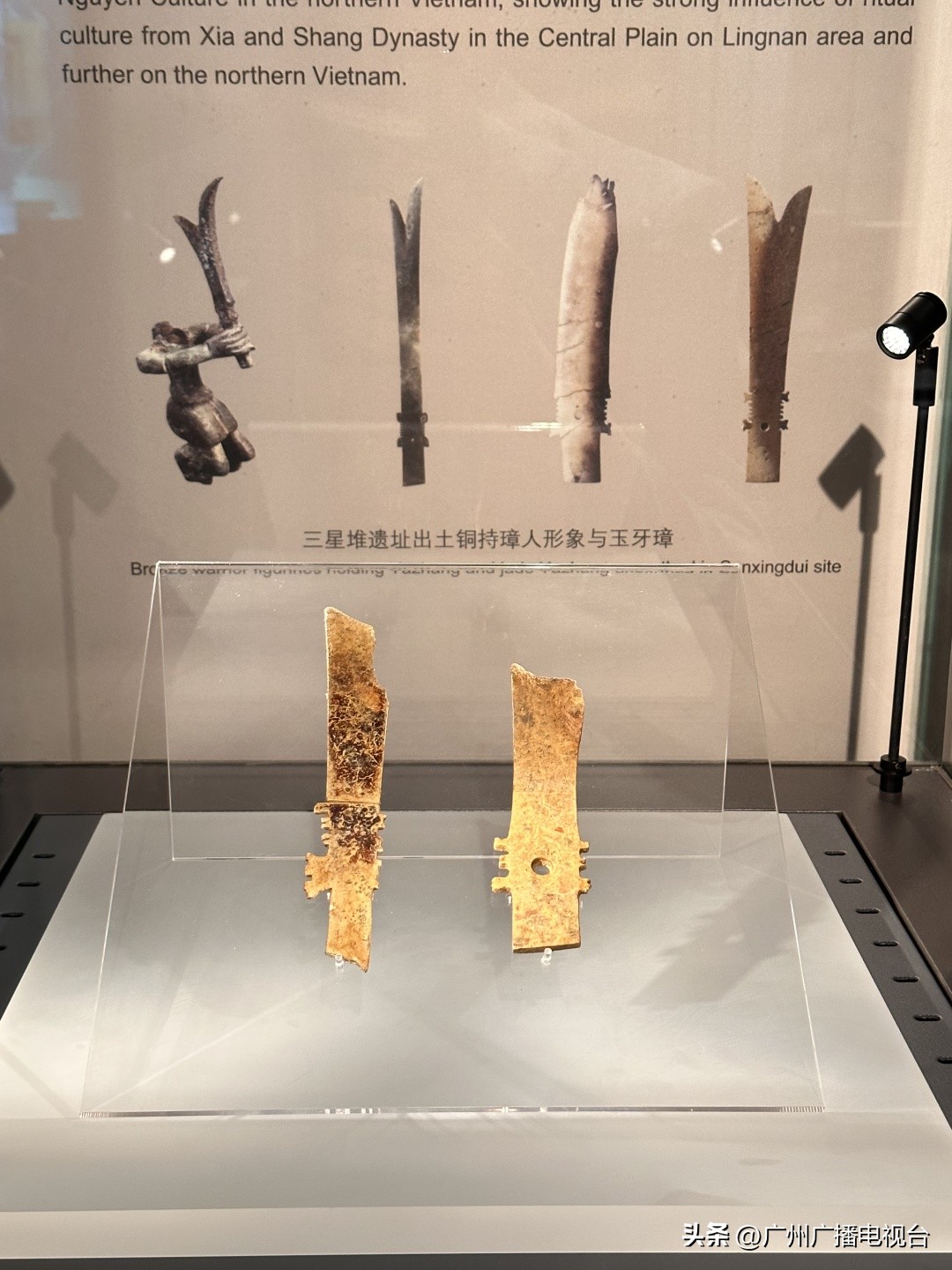 广州市省博物馆参观攻略,go带你去看世界