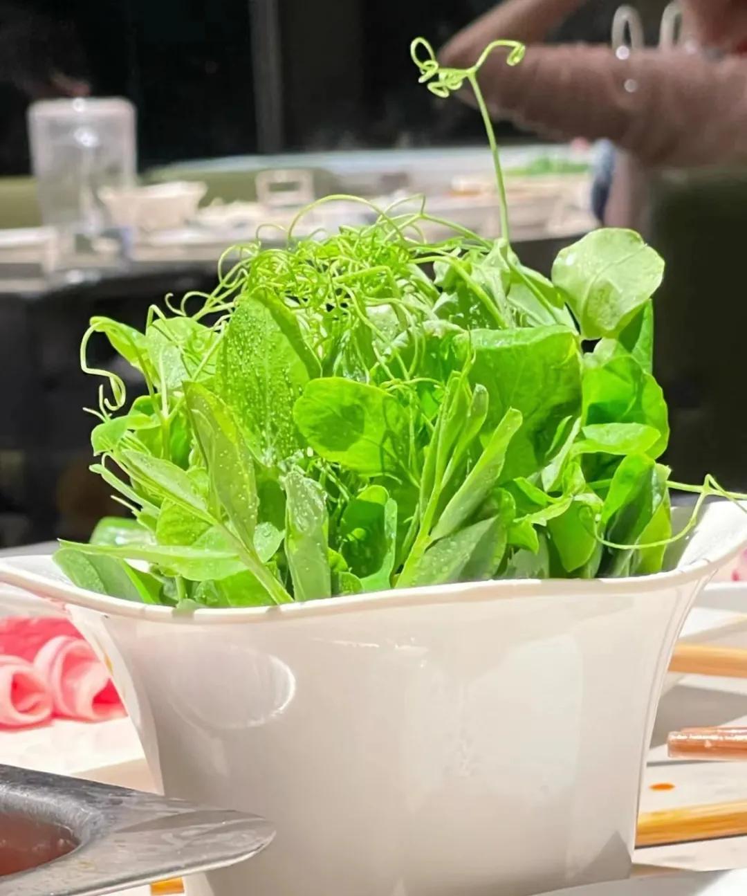 上新了！冬季新品大盘点新鲜出炉