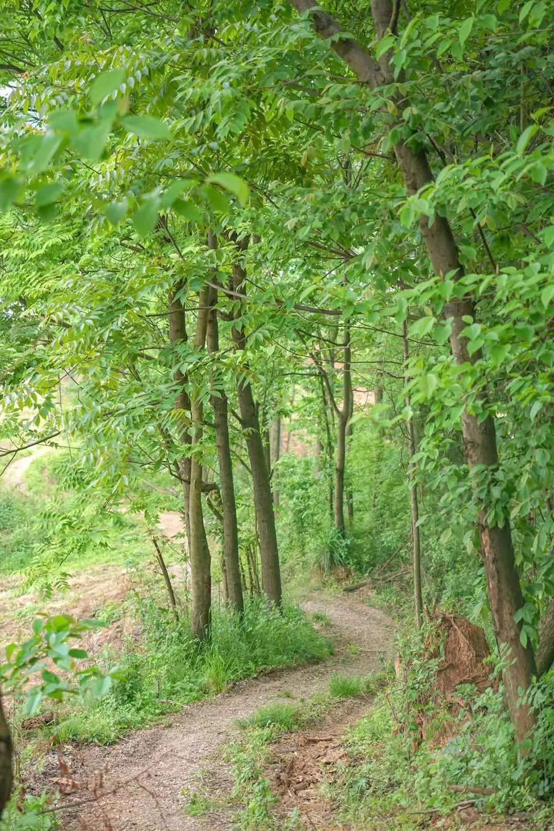 成都周边两天徒步推荐,成都周边徒步耍水一日游