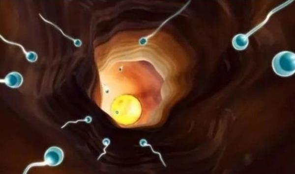 一个礼拜精子变黄了,精子三四天就变黄了