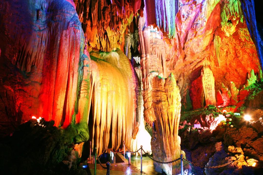 到咸宁看国宝过大年,离家45年的国宝回湖北咸宁过年