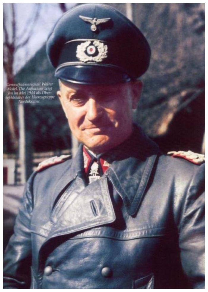 勒热夫战役德军,勒热夫战役打了几次