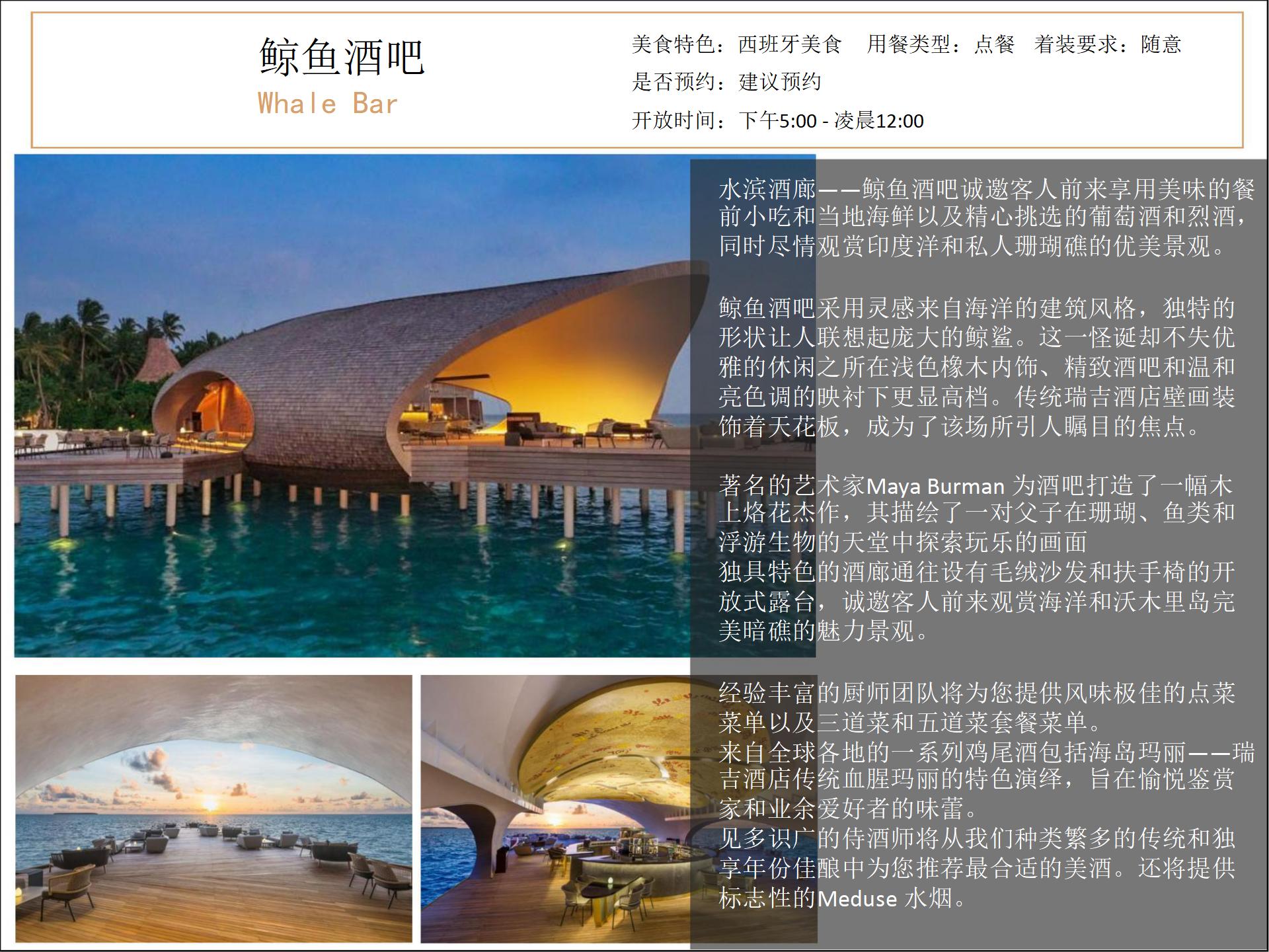 马尔代夫哪个岛屿适合度假,马尔代夫10个拖尾沙滩度假岛