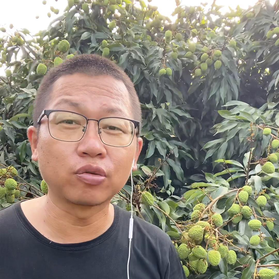 出门如何避坑#三亚阿宇