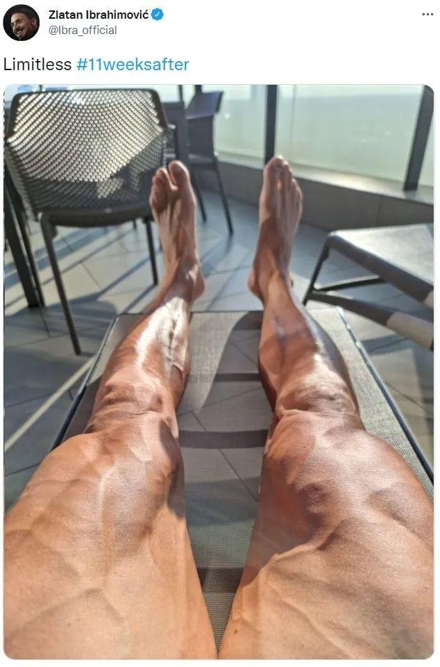 伊布的身材属于什么水平,伊布晒恐怖伤疤