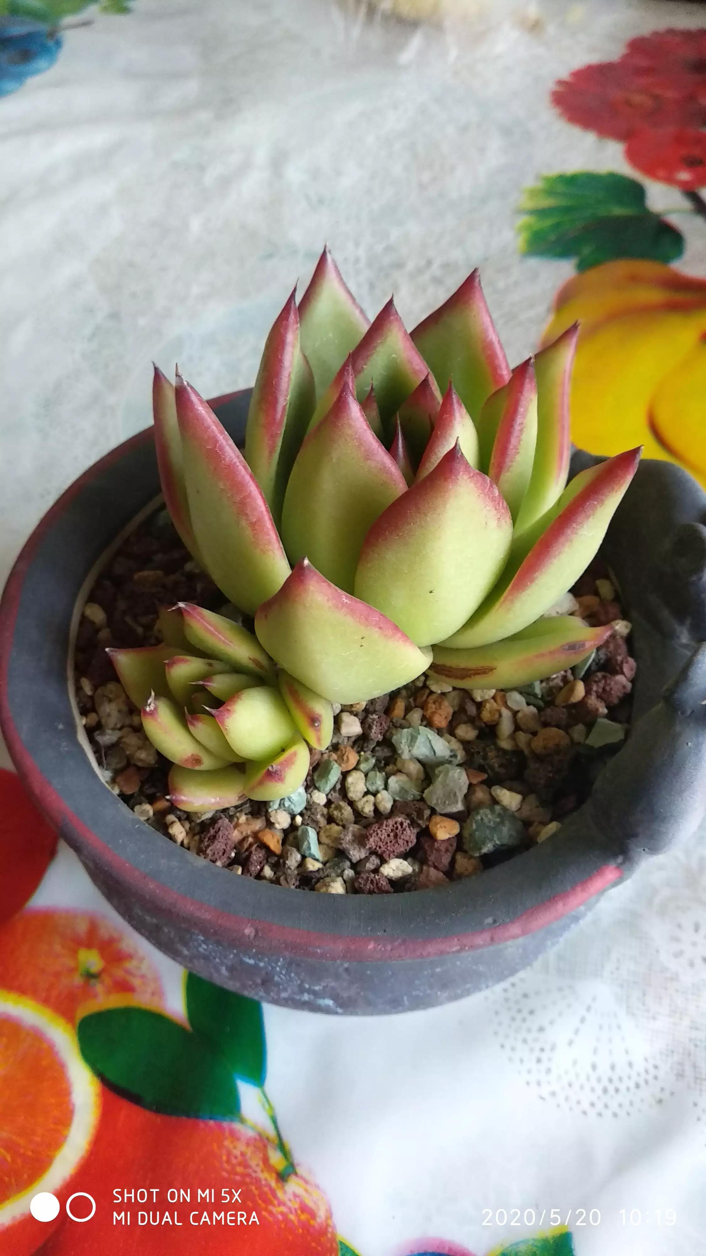 口红给你带来的魅力,口红的魅力无限