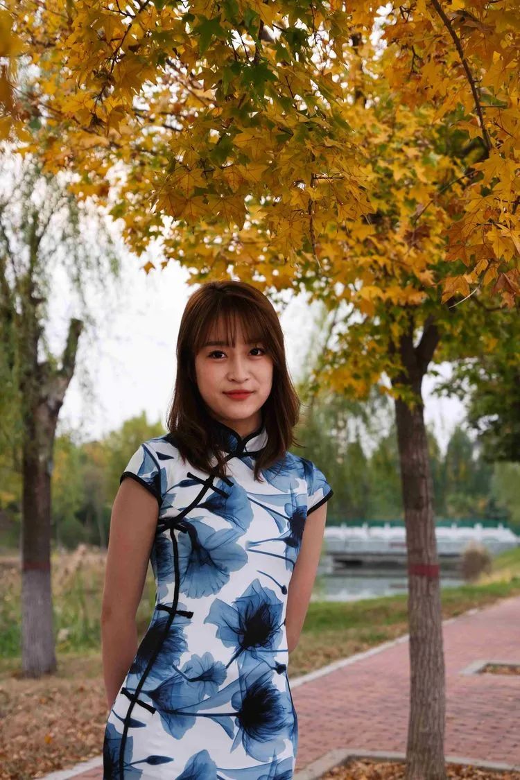 层林尽染的视频号,濮阳医专学历怎么样