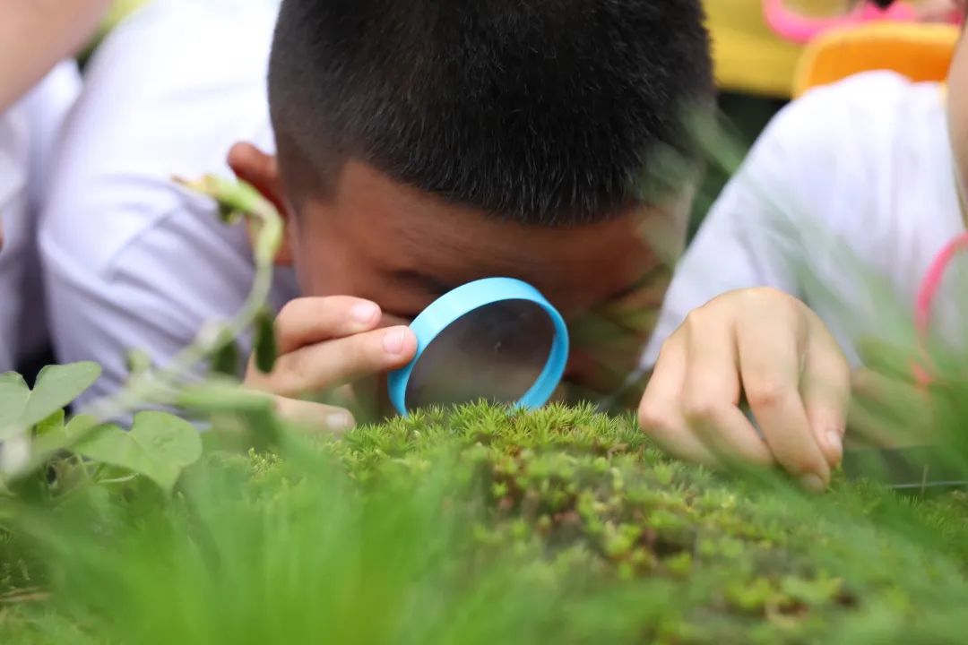 登山，观星，云海，日出，朗读会……跟着朗朗少年游学黄山