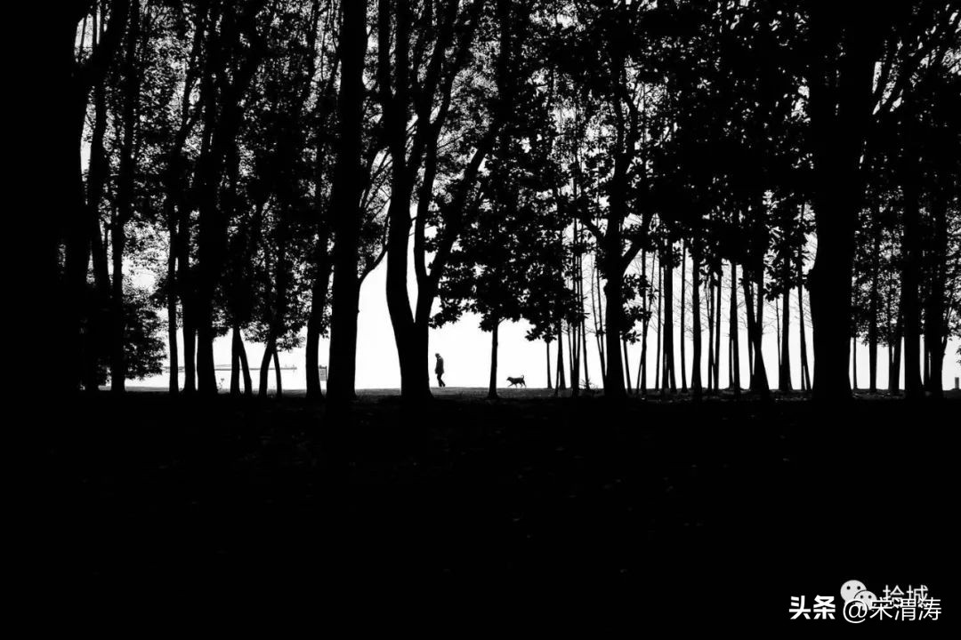 古镇摄影大赛获奖名单,北京摄影大赛获奖照片