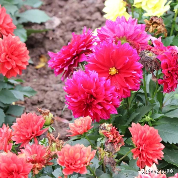 点亮时代文化之光,点亮中华优秀传统文化的智慧之光