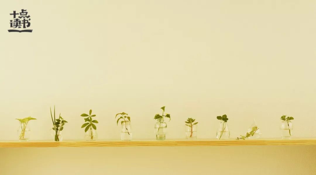 最好的家庭教育是妈妈说了算,最好的家庭教育小孩