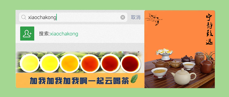 普洱茶纯料和拼配的区别,普洱茶混采和纯料的区别