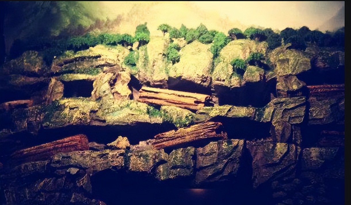 袁银波:长篇历史小说《后三国演义》第三十七回