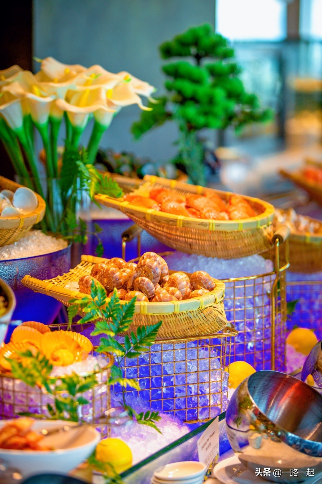 深铁铂尔曼酒店最佳东方,深圳深铁铂尔曼客房