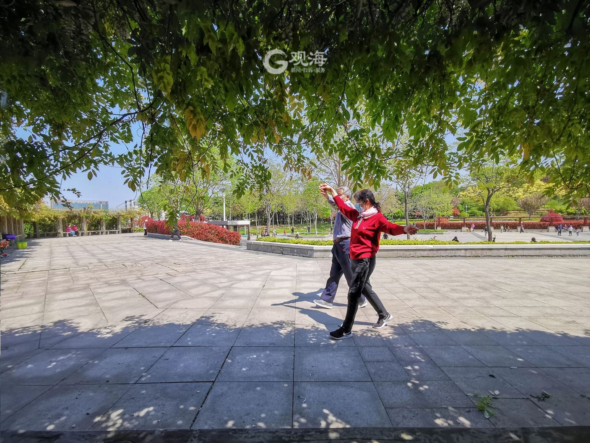 双山公园有什么好玩的,双山公园海宁