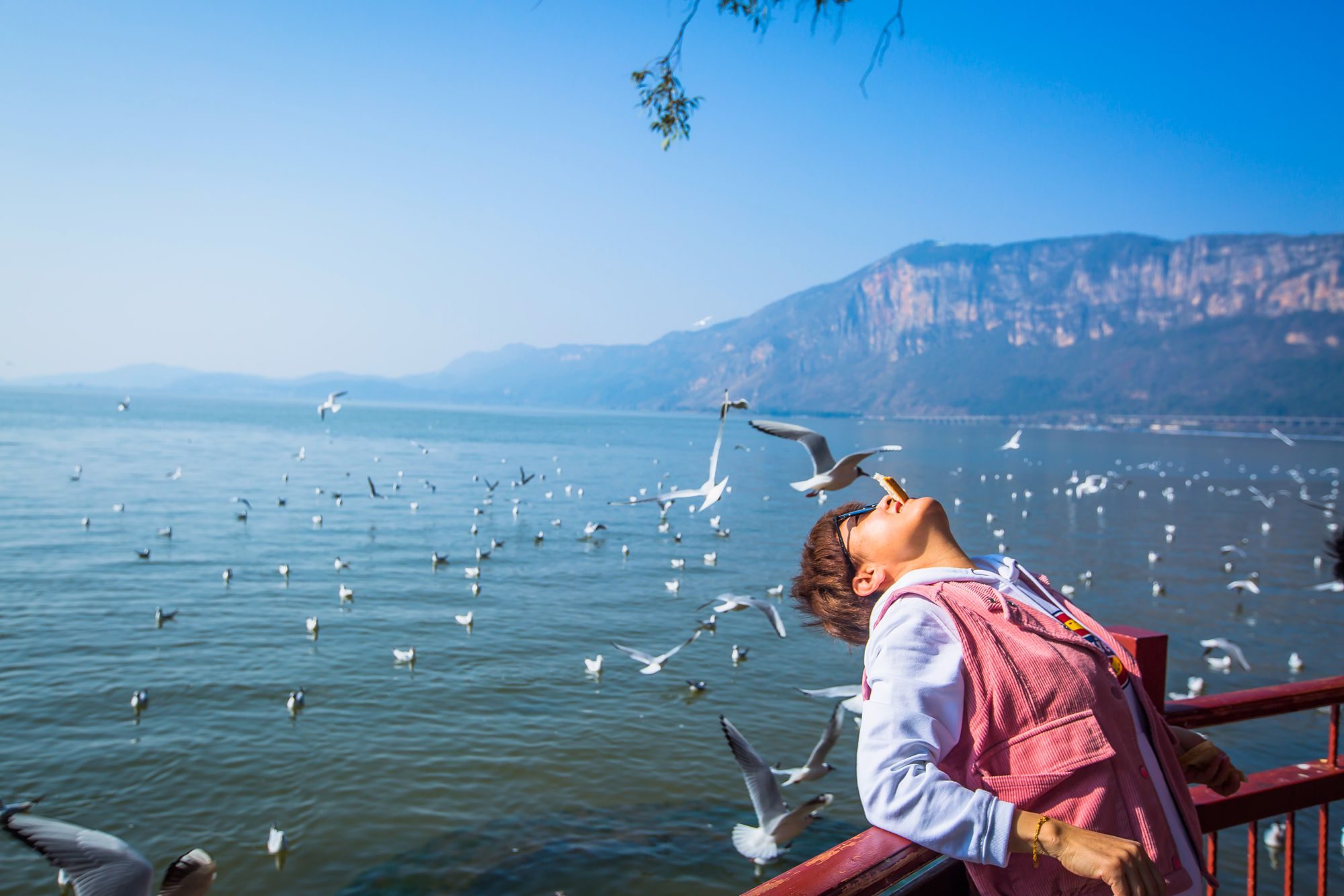 昆明滇池海埂公园有什么好玩的,昆明滇池海埂公园有没有沙滩
