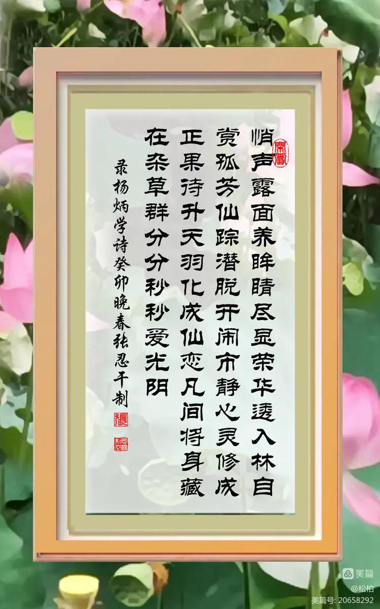 诗图战友情（九十五）荷花别样红