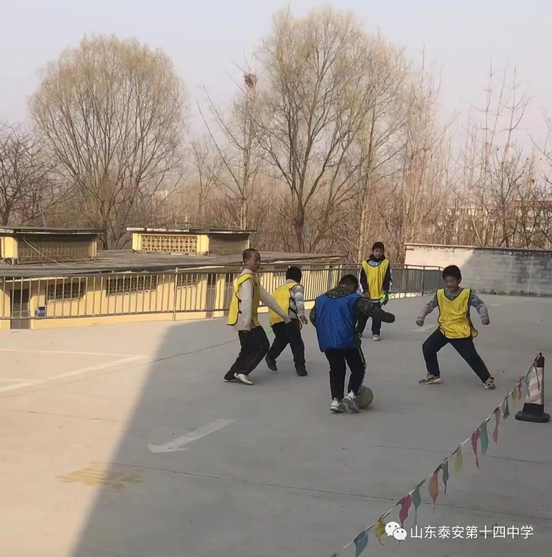 灞曠幇闈掓槬娲诲姏鏀鹃闈掓槬姊︽兂,灞曠幇闈掓槬娲诲姏缁芥斁闈掓槬椋庨噰娲诲姩