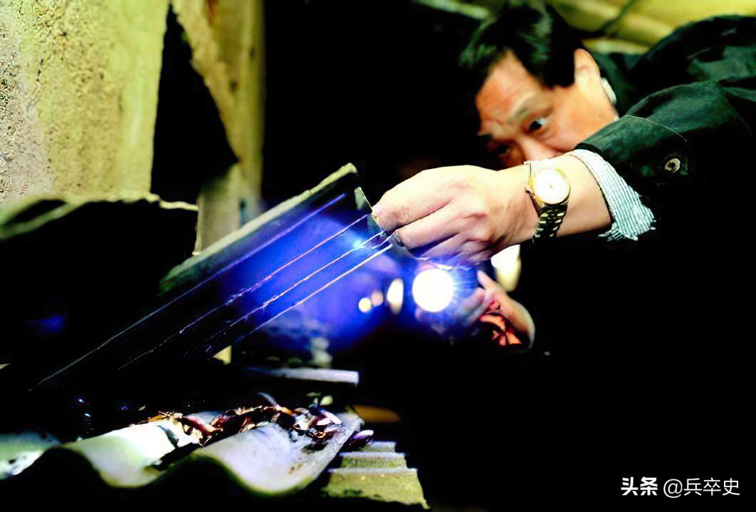 养蟑螂年入百万的故事,山上养8亿只蟑螂年收入过亿