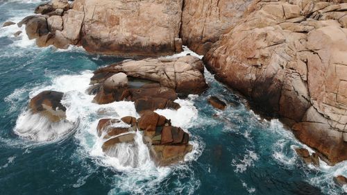 黑鲷钓鱼技术,钓黑鲷鱼的方法与技巧