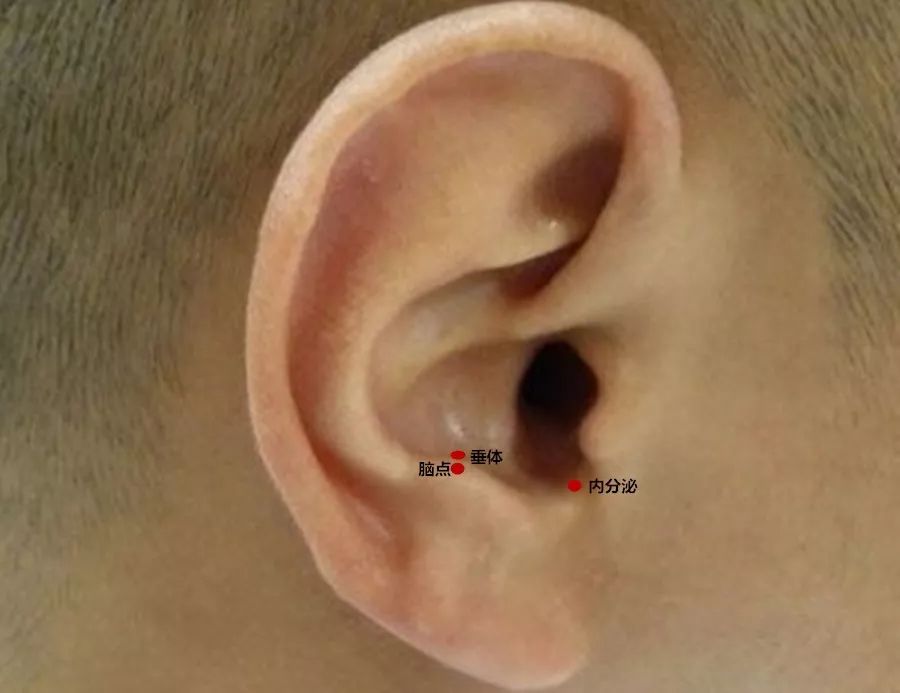 董博士孩子成长最大的动力是什么,中医博士董洪涛是否在国内