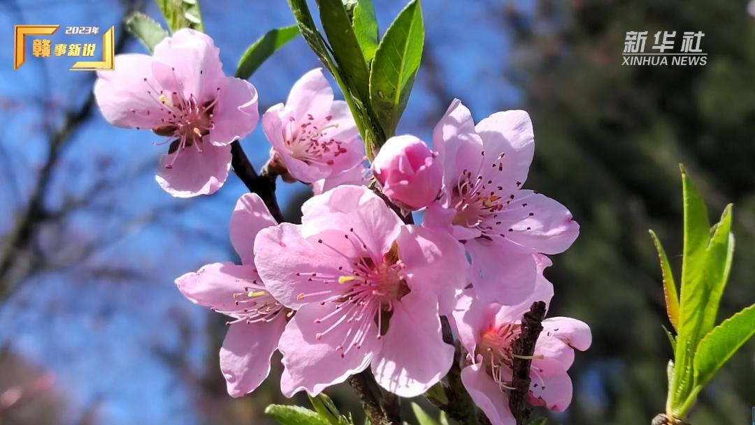 清凉一夏旅行完整版,清凉一夏与你同行踏浪看海