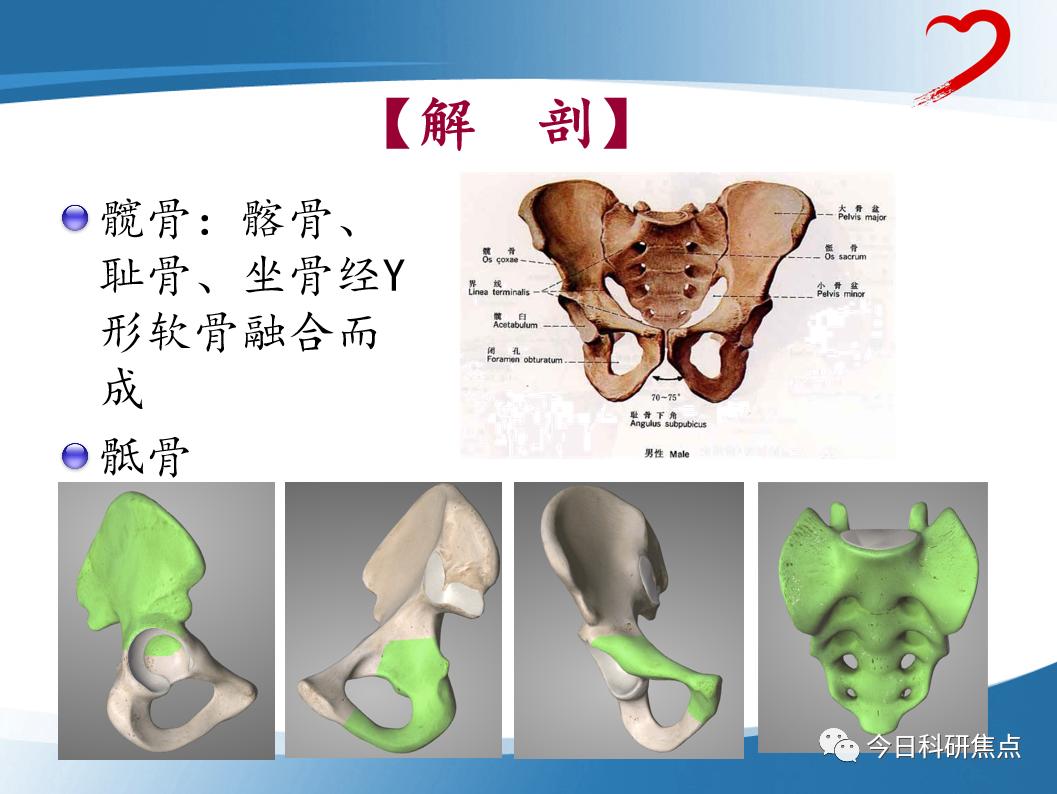资源共享|创伤骨科PPT大放送！快来一起学习吧
