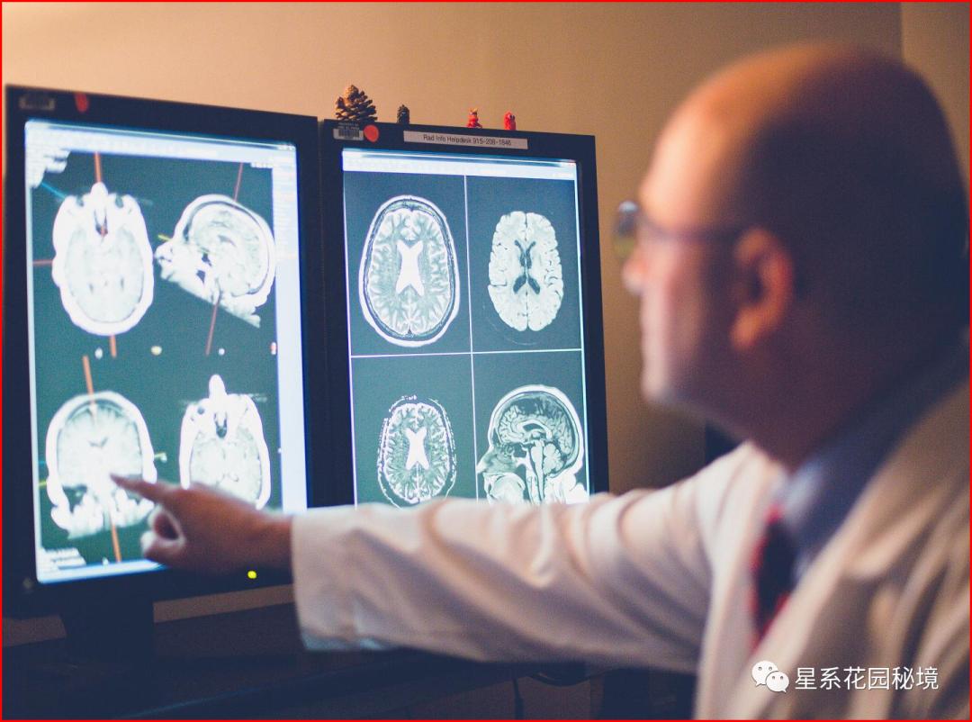 美国学术造假事件,科学数据造假著名事件