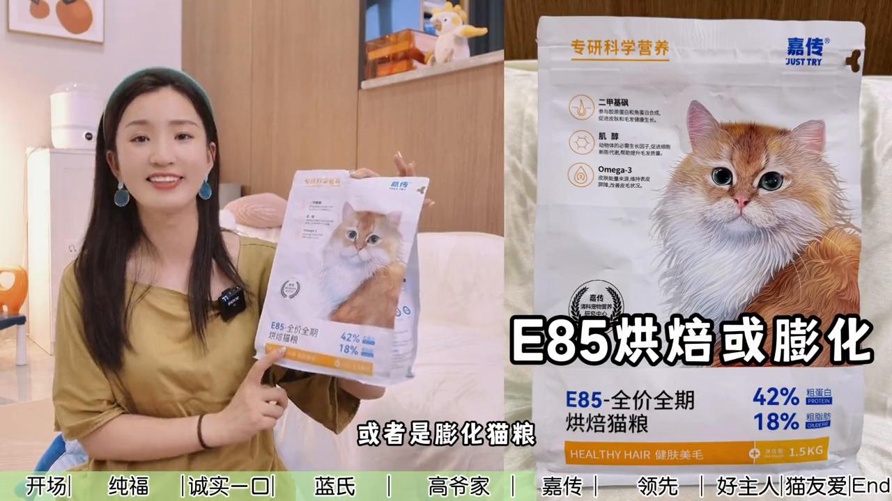 这次我们邀请团队9只猫咪一起参与猫粮测评