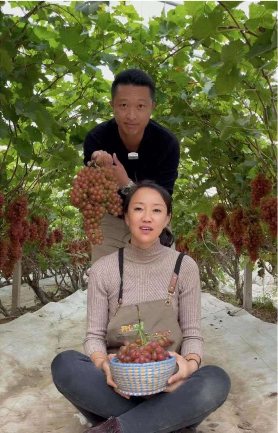 80后山东夫妻放弃5万月薪,95后小伙放弃30万年薪种菜