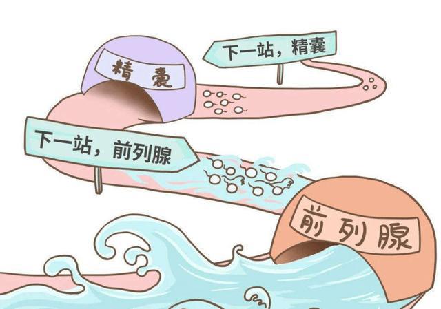 前列腺增生的尿潴留能治愈吗,前列腺增生尿潴留中药处方