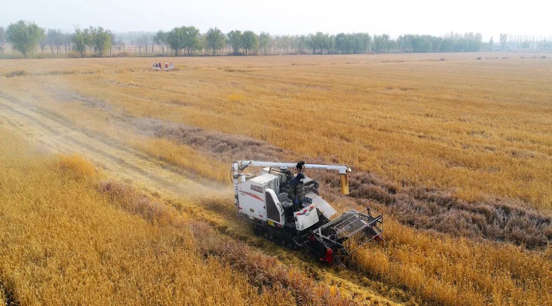 我爱我的家乡滨州市,我的家乡在滨州的作文