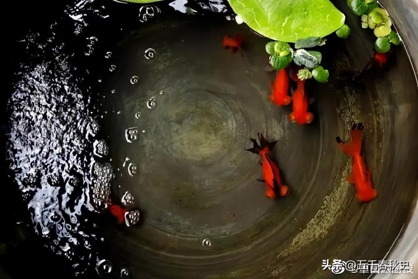 山管人丁水管财顺口溜,山管人丁水管财口诀粤语