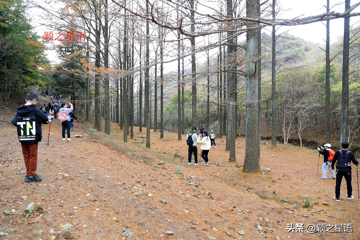 宁波黄金谷景区,宁波黄金谷