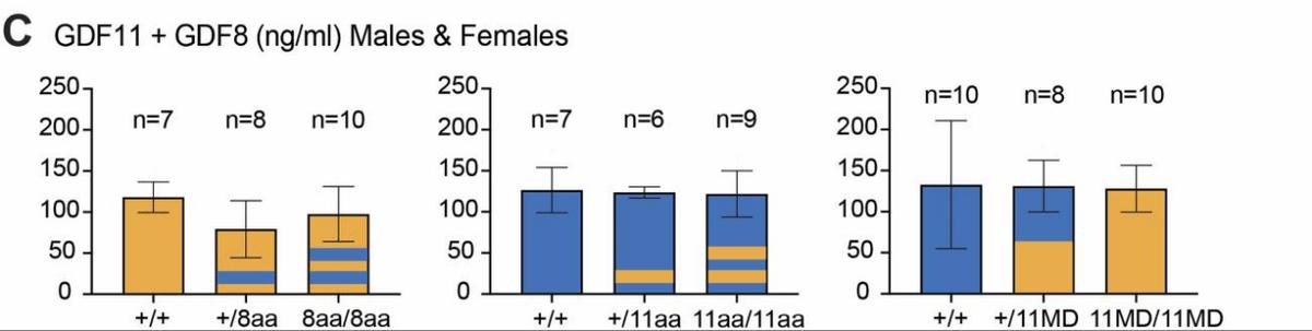 探究GDF11和GDF8氨基酸替代对骨骼发育相关信号通路的实用性研究