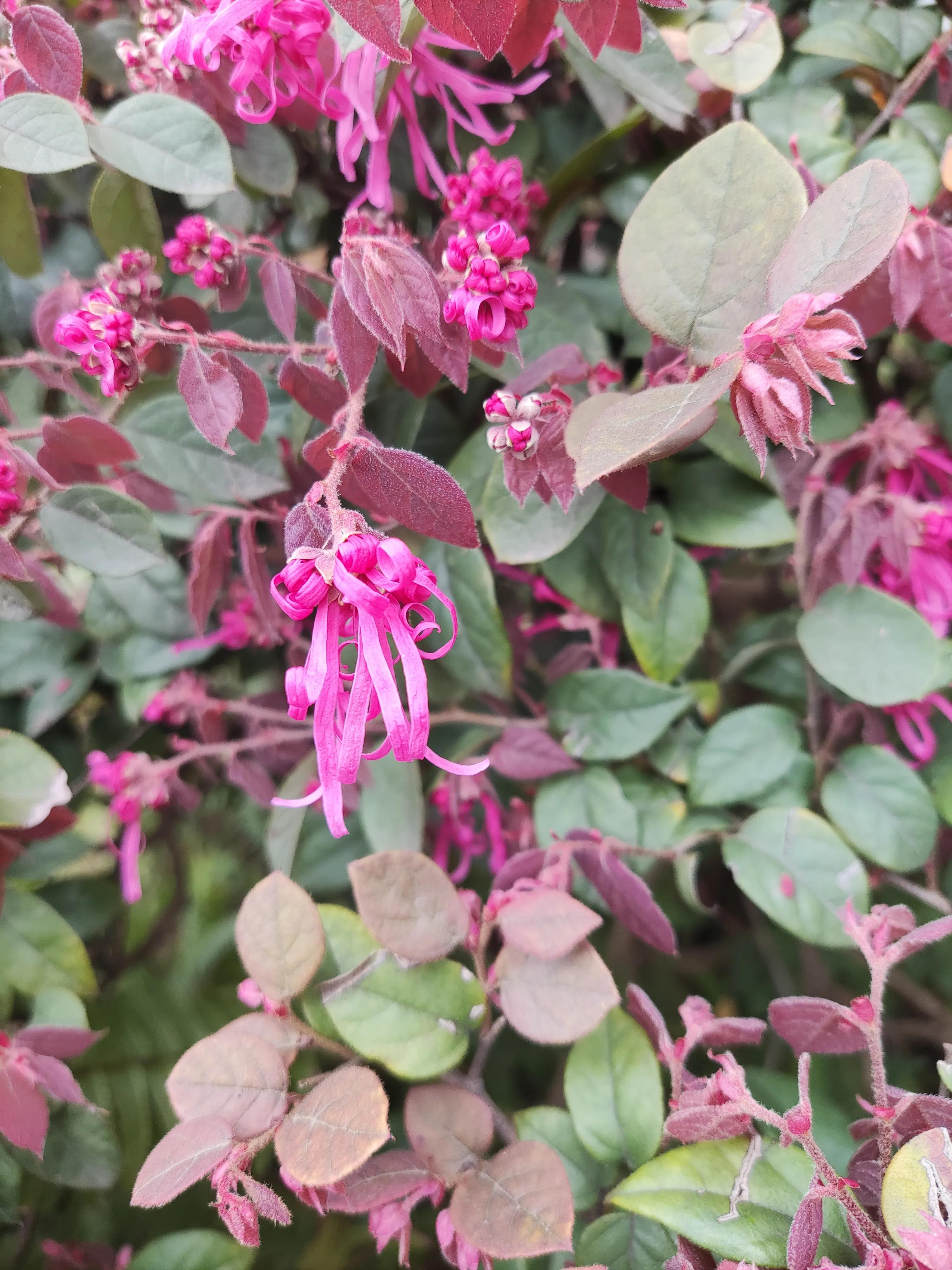 呼吸不通畅感觉气上不来咋回事,呼吸