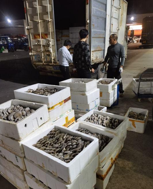 一谷一城乡村振兴强大引擎,乡村振兴星光行动