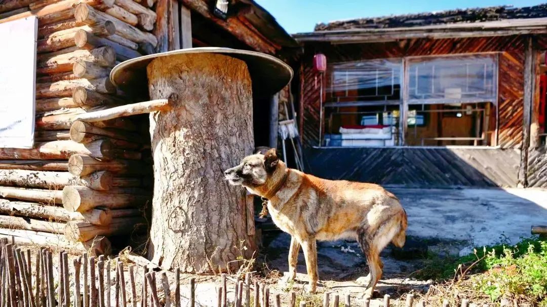白山游玩攻略路线推荐,白山三日游最佳路线