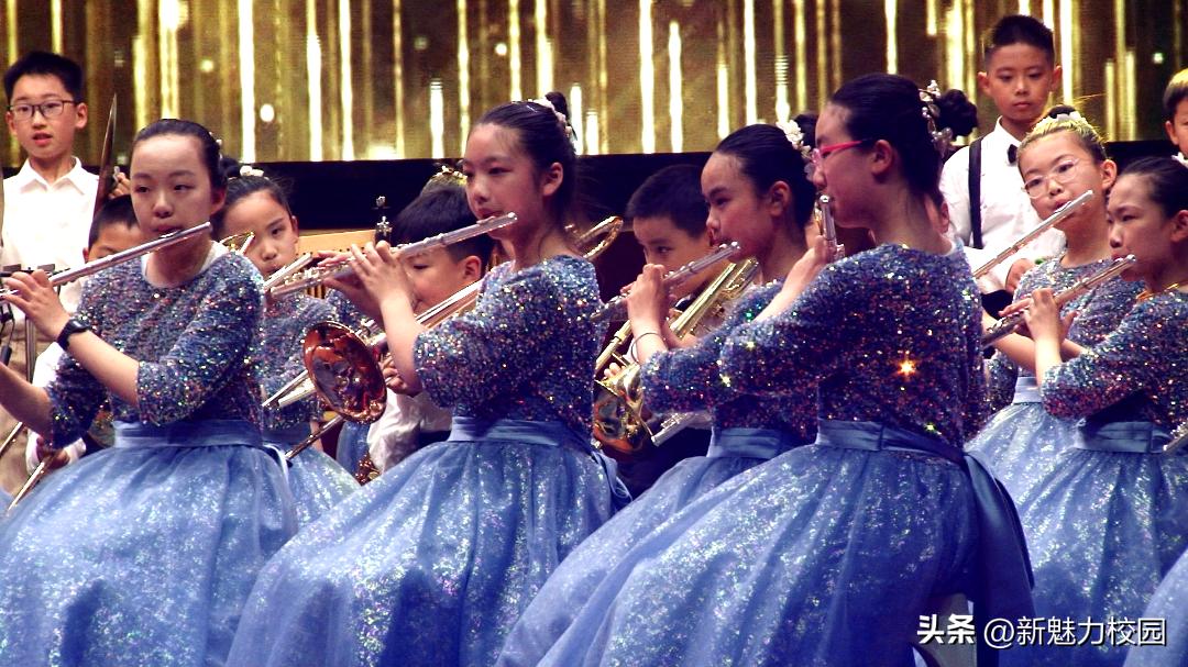 南京后标营小学名单,南京后标营小学