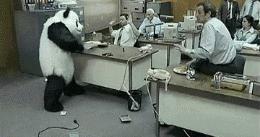 丫丫目前回国的样子,丫丫回国是好事还是坏事