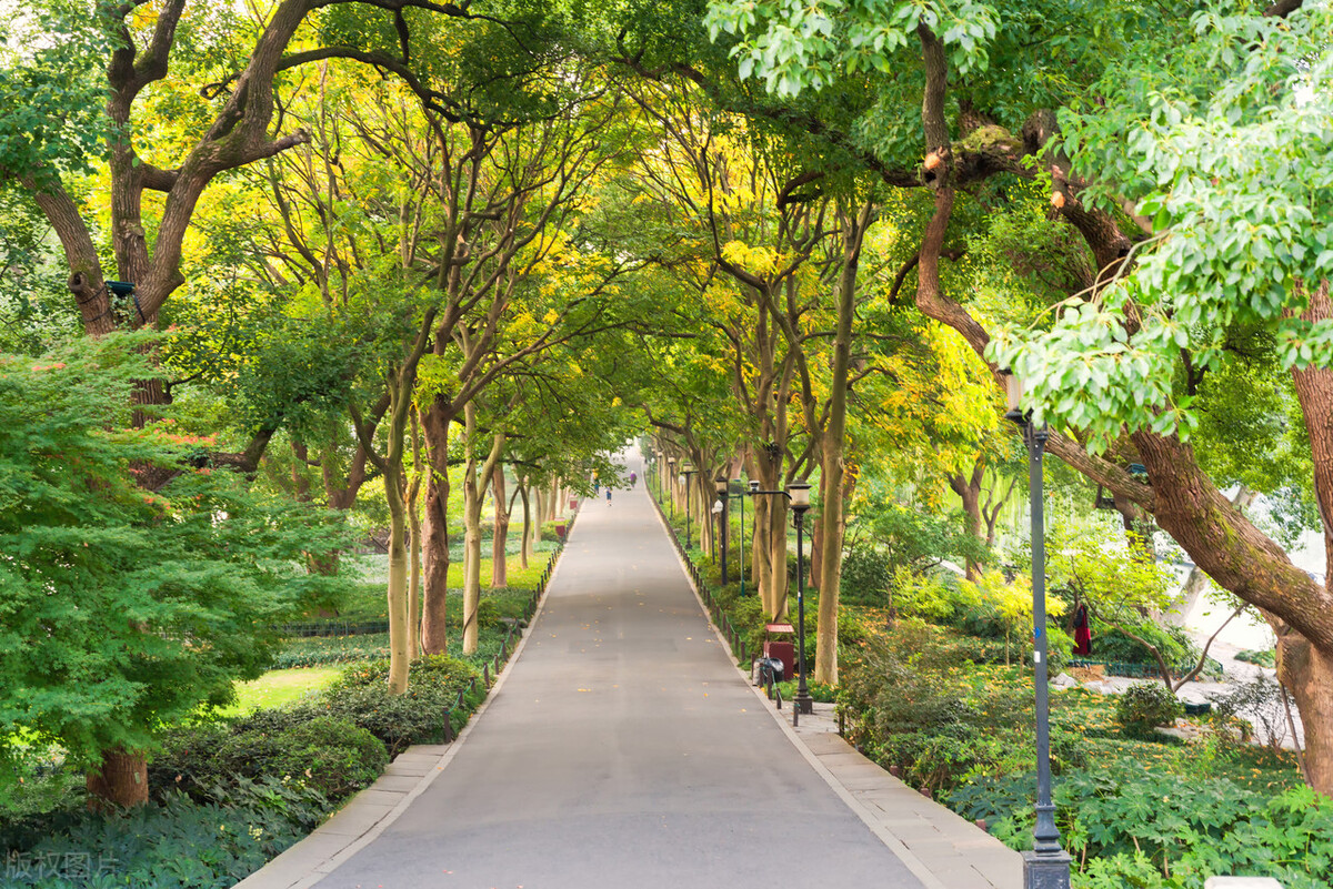 家里有个智障老公,家有智障老公